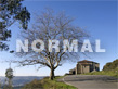 Normal